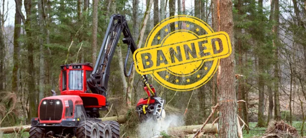Bans Tree Cutting
