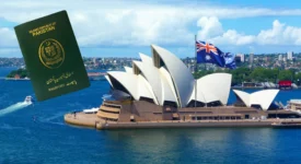 Youth Leadership Certification