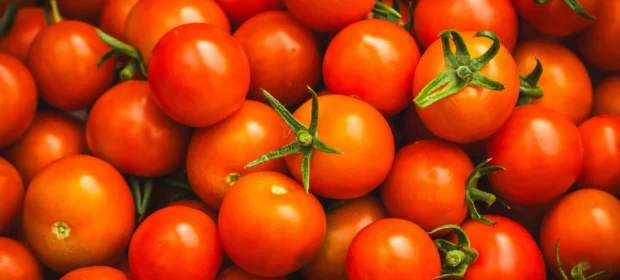 TOMATO