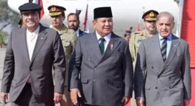Pakistan and Indonesia