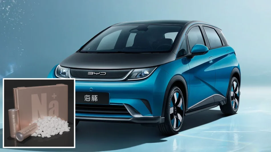 Sodium-Ion Battery