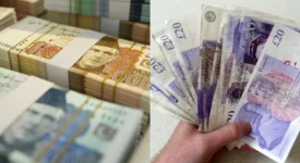 Pakistani Rupee