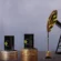 Global oil prices