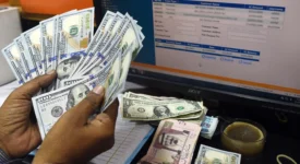 Remittances